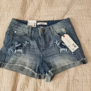 Adam Levine embroidered denim shorts